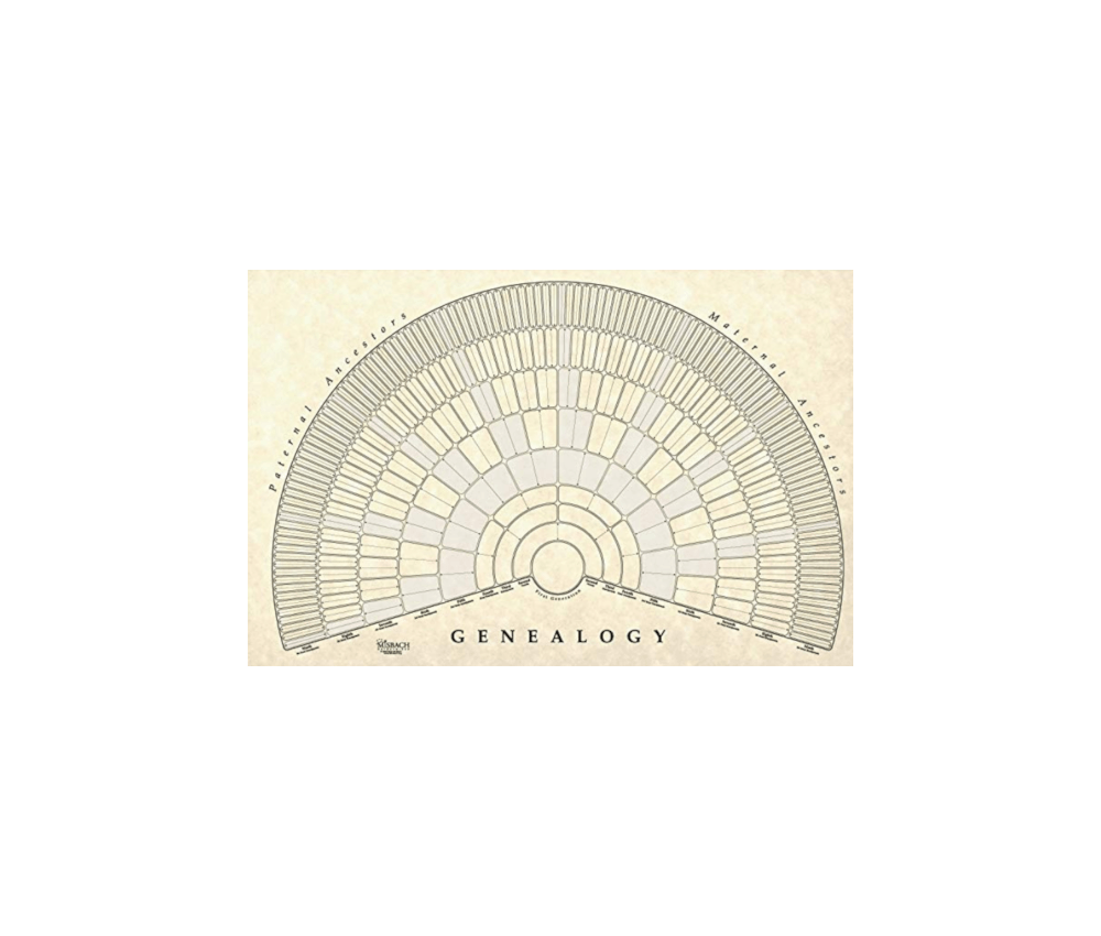 Geaneology Wall Chart