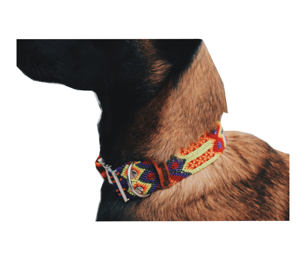 Cultural Inclusion Dog Collar