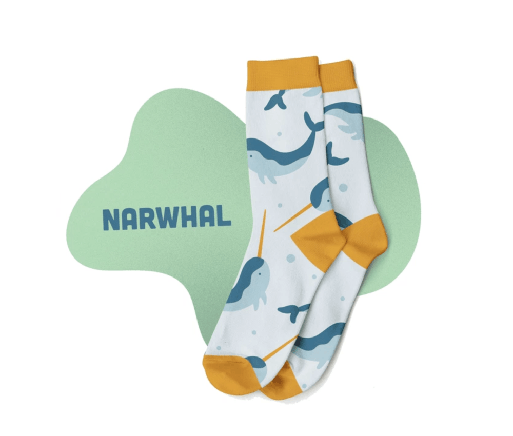 Socks for Animals